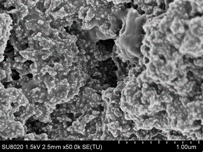 Aqueous coating material capable of performing super-hydrophobicity repair through photothermal method, and preparation method thereof