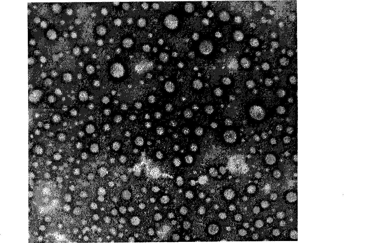 Lung-targeted medicine carrying precursor liposome for injection and method of use thereof