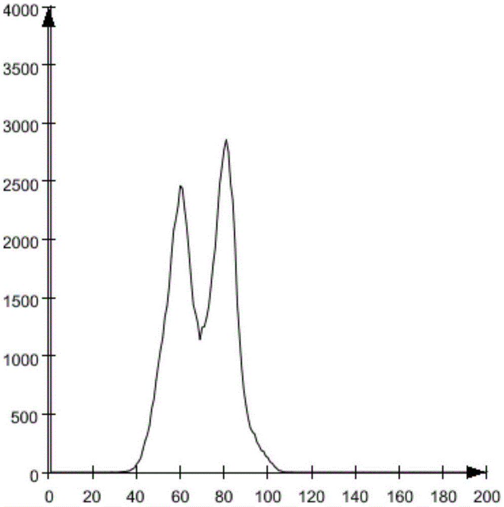 Computing method of blood flow volume and blood flow velocity of blood vessel per unit time