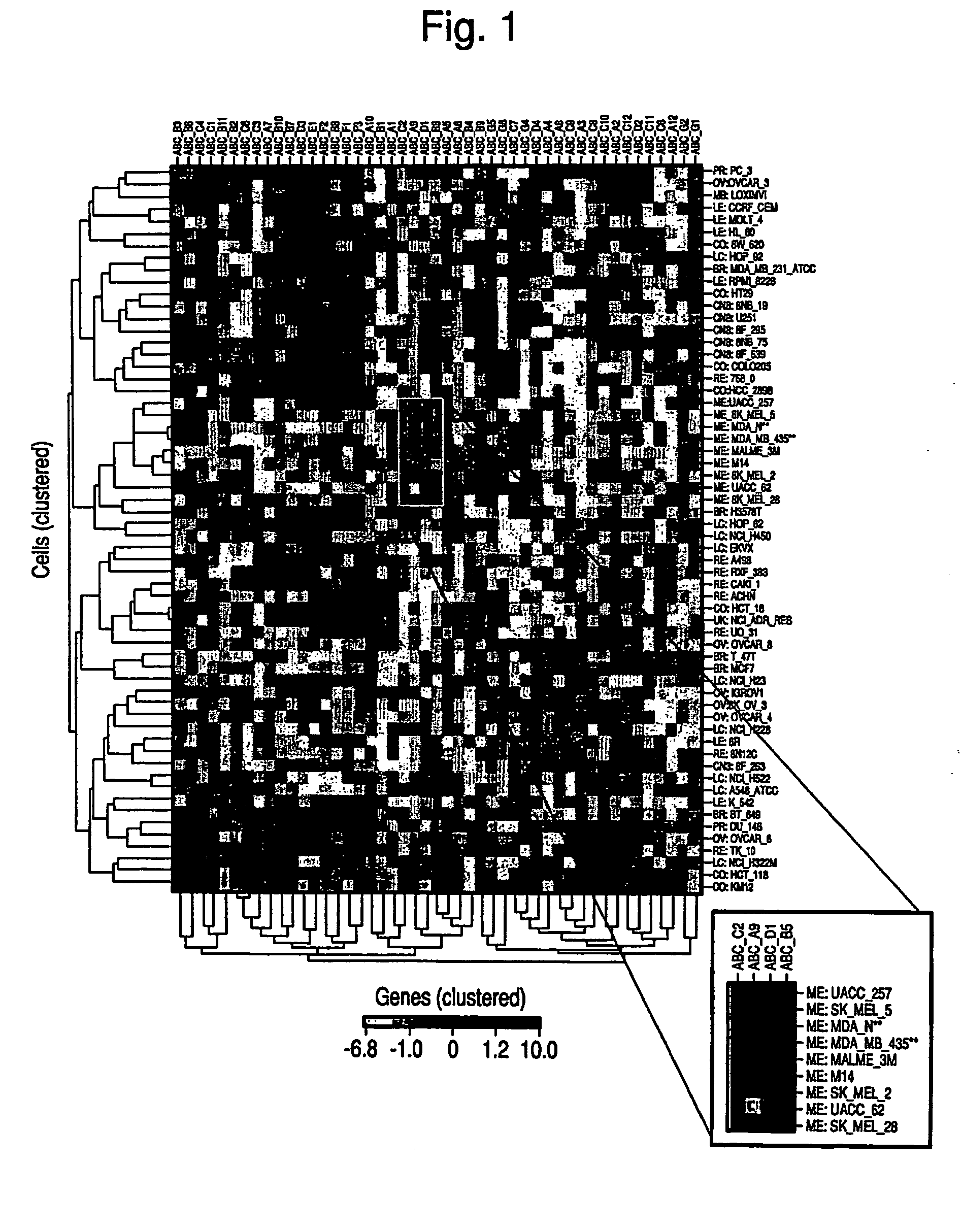 Methods for the Identification and Use of Compounds Suitable for the Treatment of Drug Resistant Cancer Cells