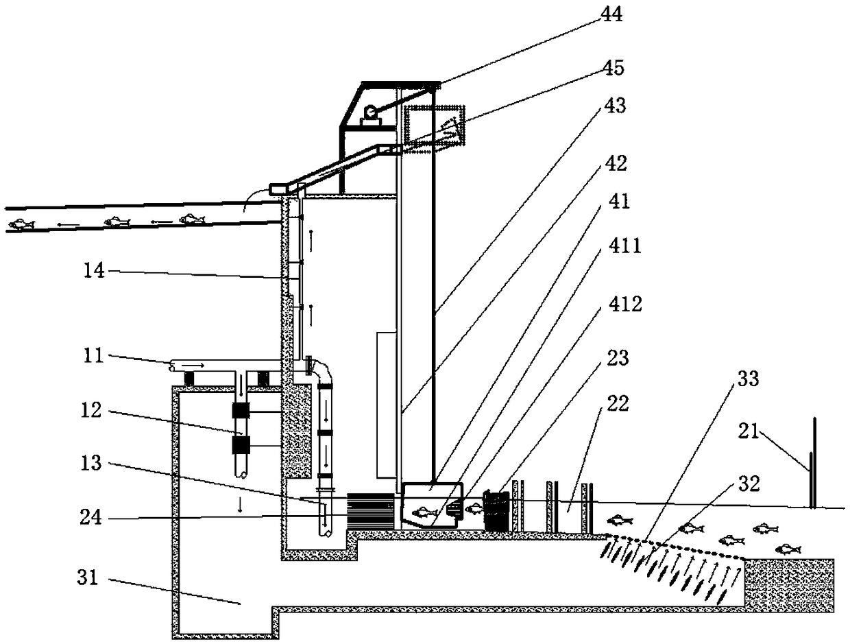 Fish gathering and conveying system for water diversion type power generation high dam