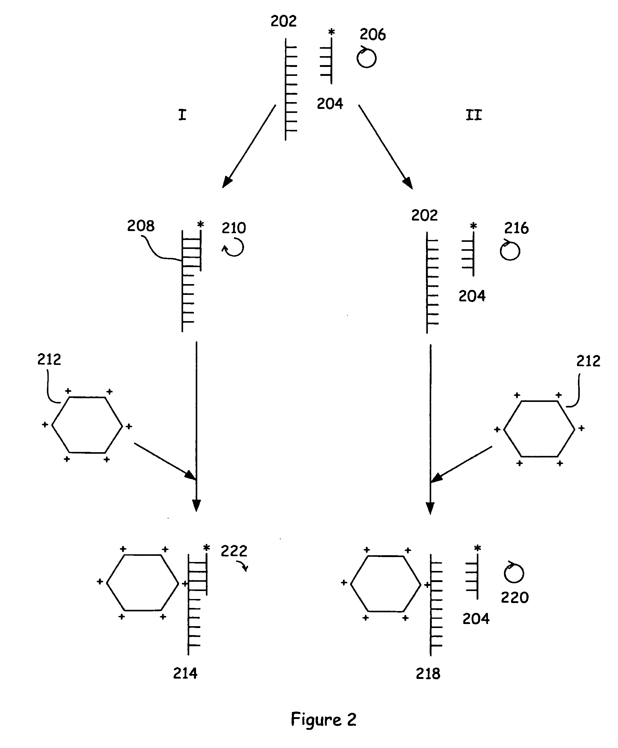 Assay methods and systems