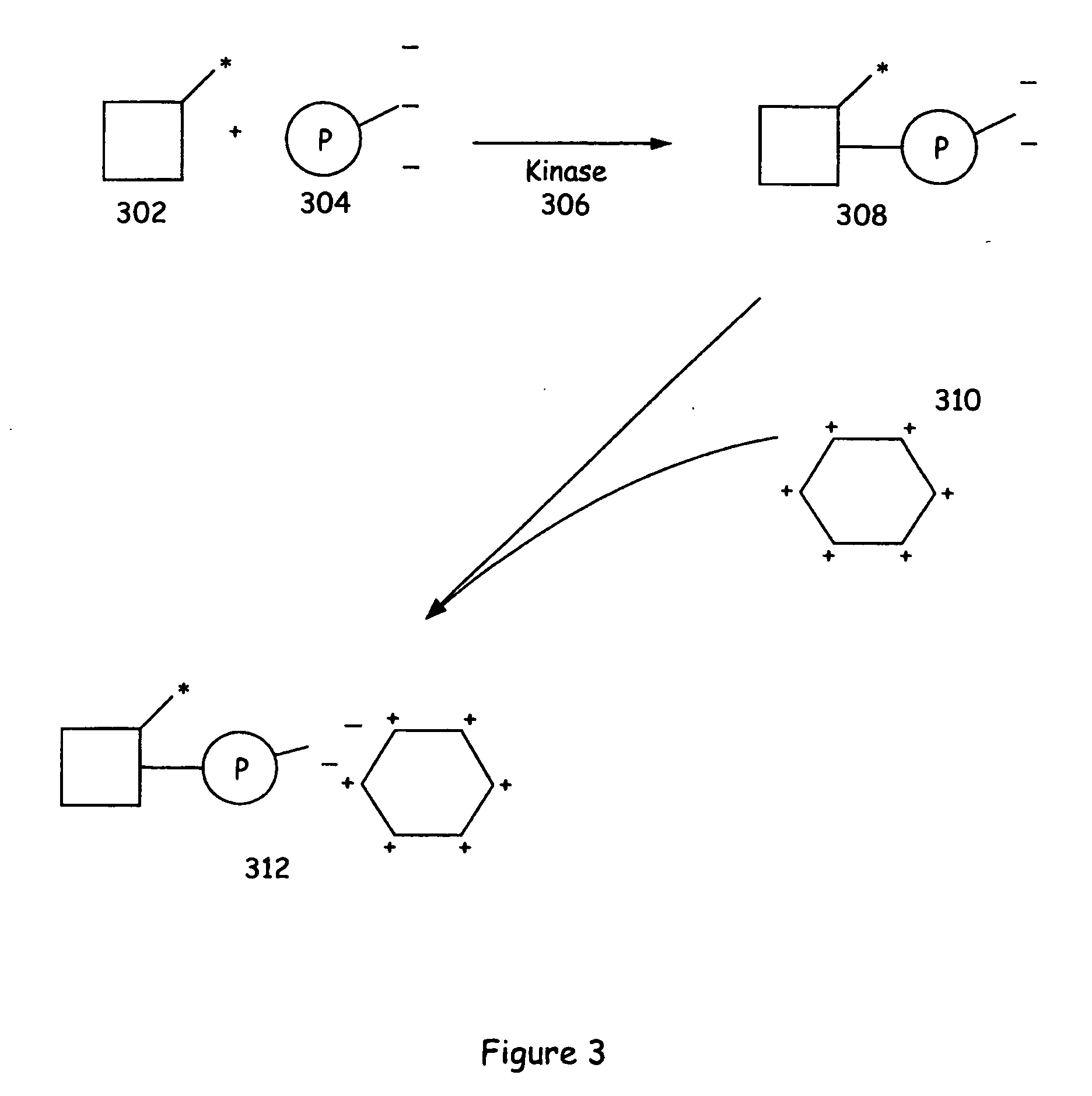 Assay methods and systems