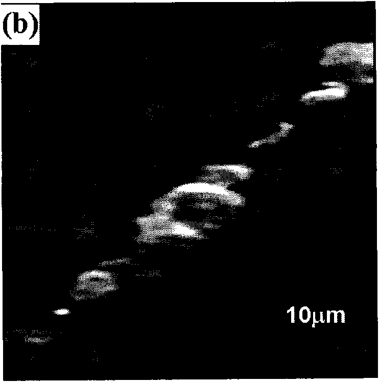 Micron-nano thermal detecting and sensing component