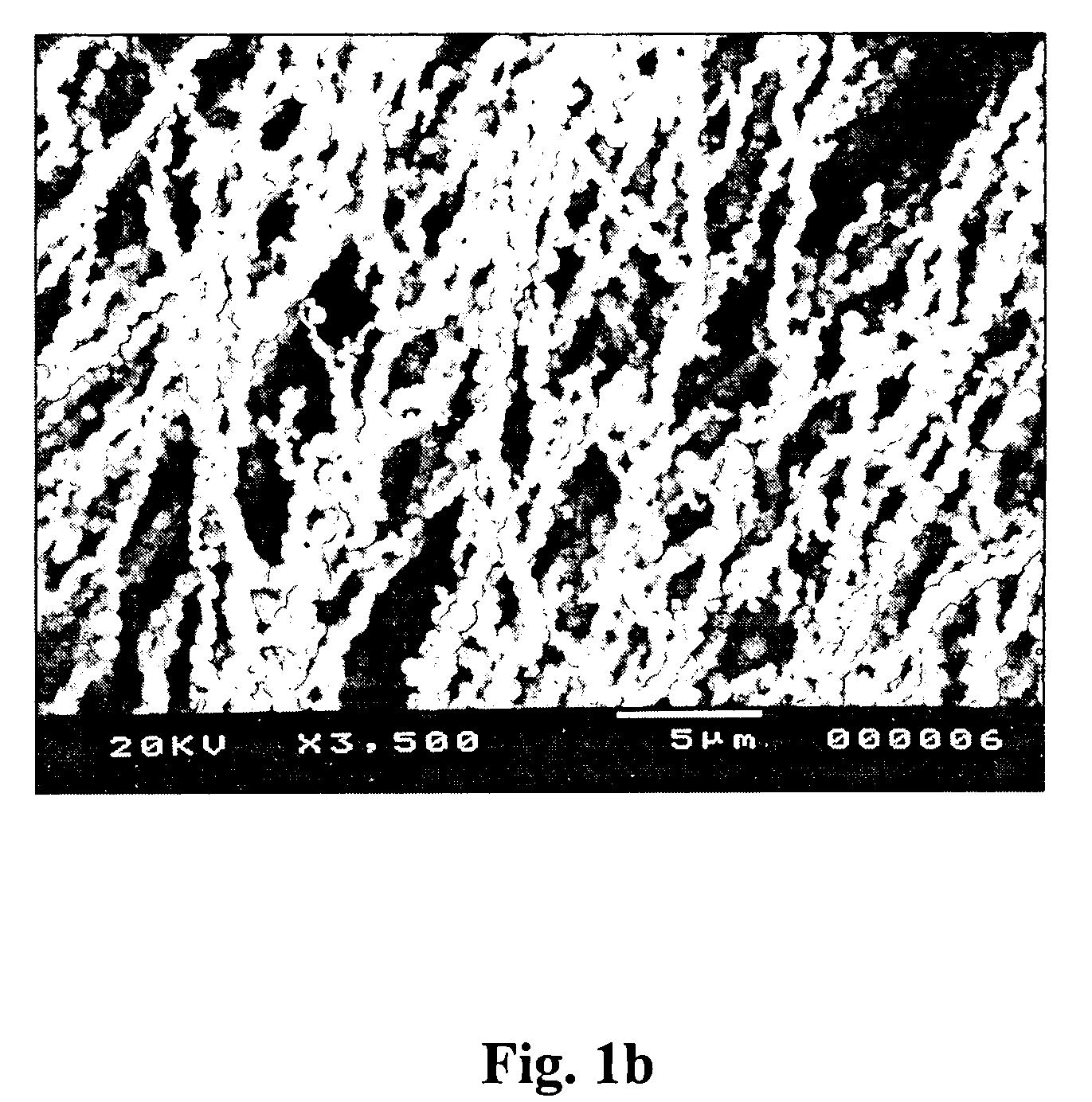 Production of aligned microfibers and nanofibers and derived functional monoliths