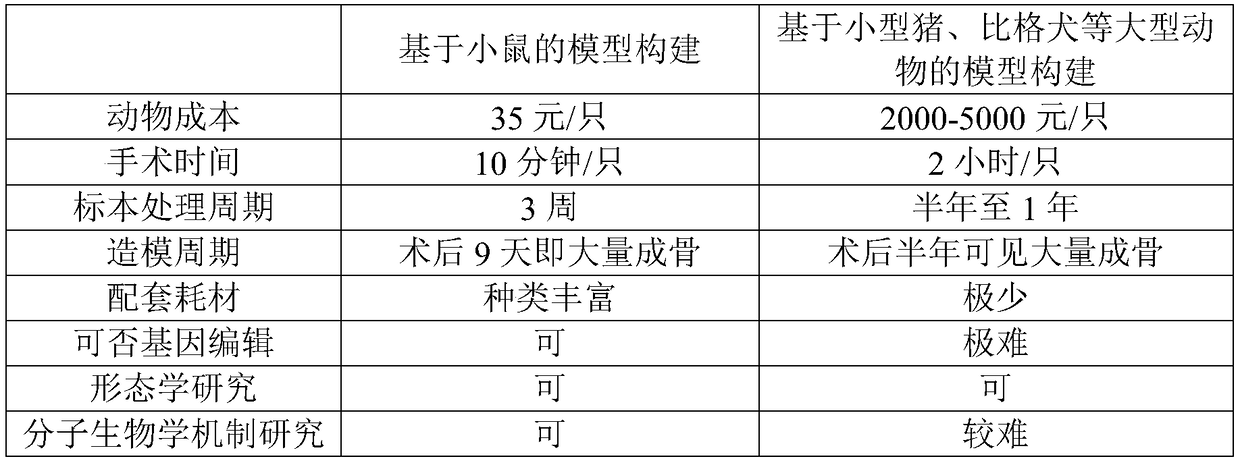 Construction method of mouse sinus elevation model based on BIO-OSS bone powder