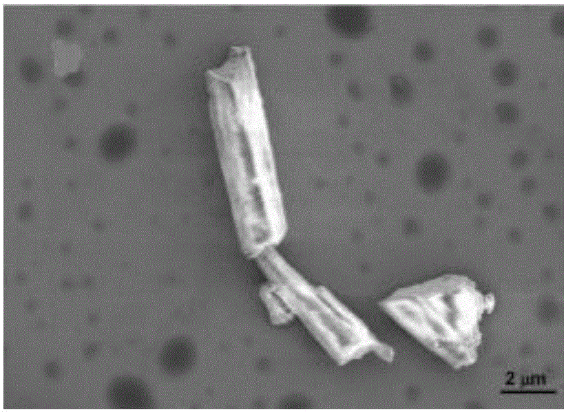 Preparation method of silver-loaded shell powder antibacterial agent