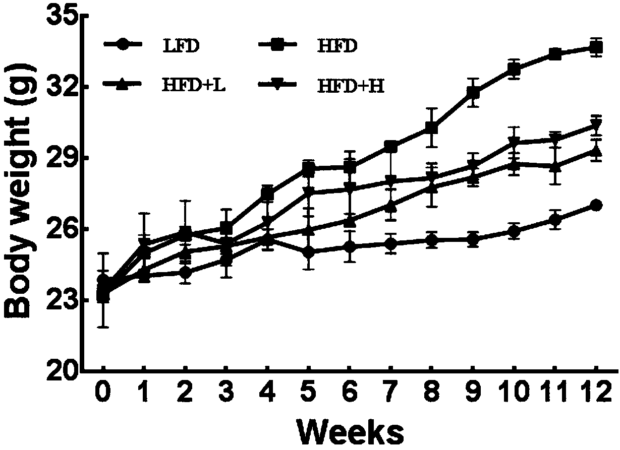 Weight-losing application of apios americana flower ethanol extract