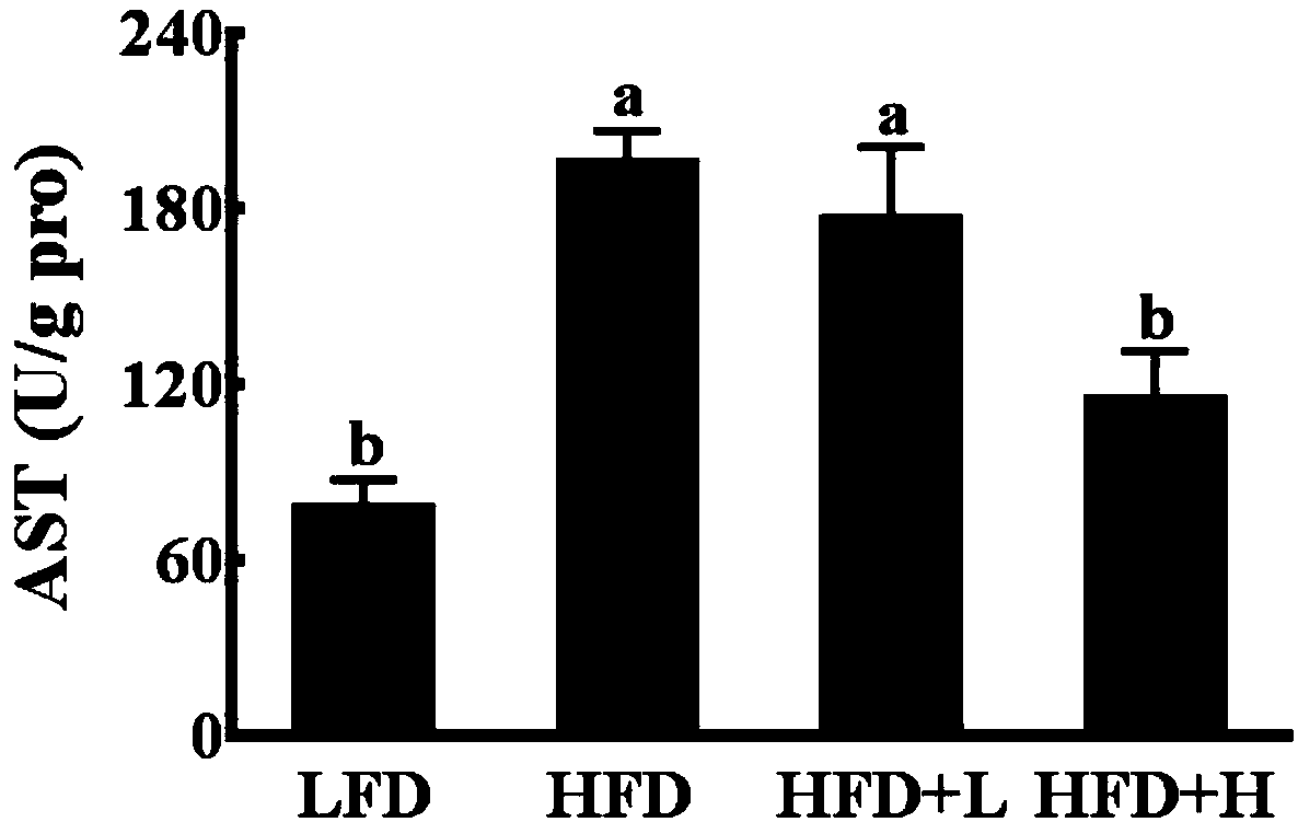 Weight-losing application of apios americana flower ethanol extract