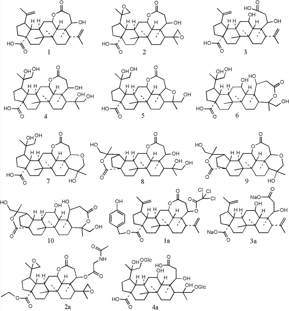 Cracked-ring lupane derivatives and pharmaceutical application thereof