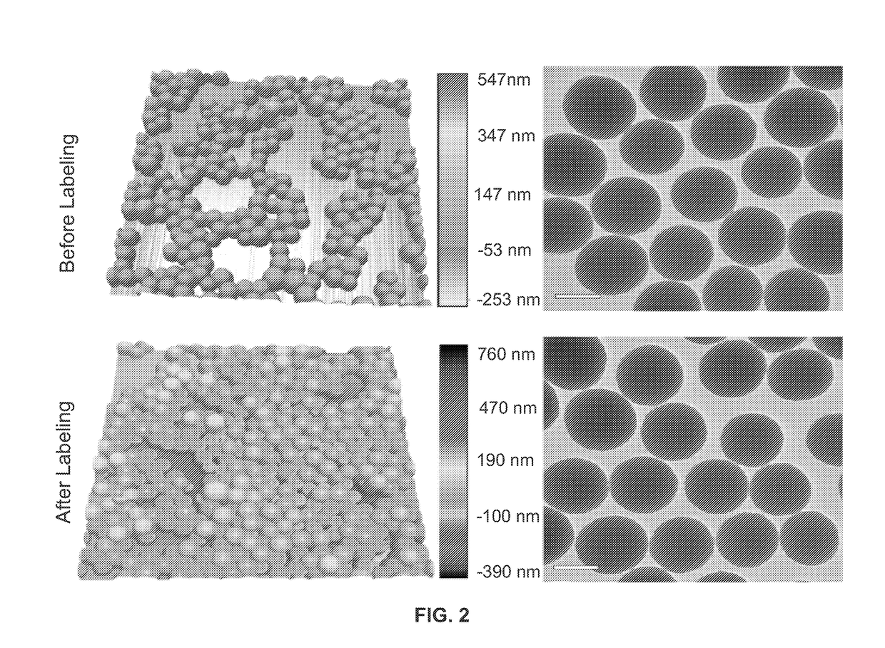 Metal(LOID) chalcogen nanoparticles as universal binders for medical isotopes