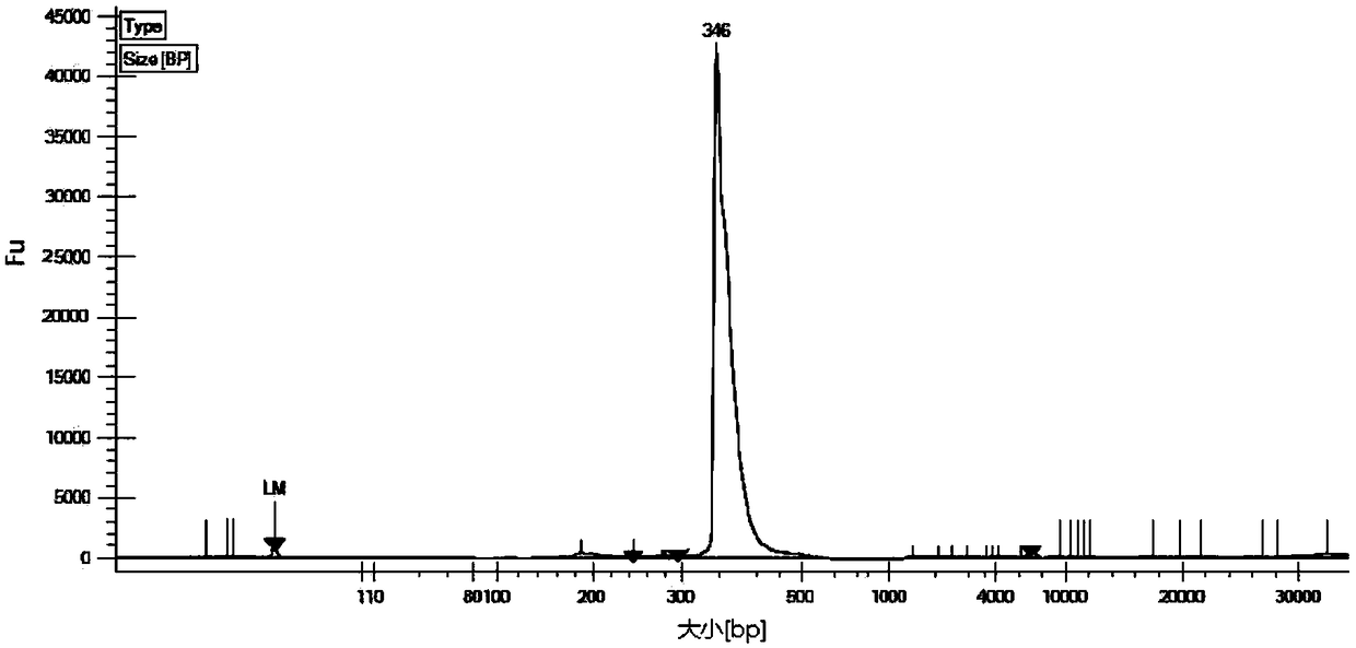 Primer composition, kit and method for detecting TERT gene promoter mutation and application of primer composition