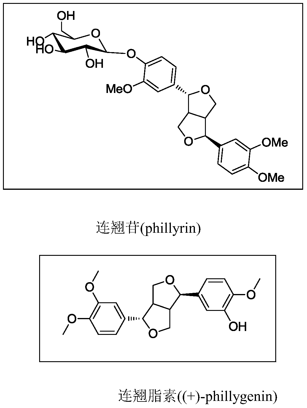 Application of forsythin, its derivatives, and forsythin/forsythin composition in the preparation of medicines for treating bacterial infections