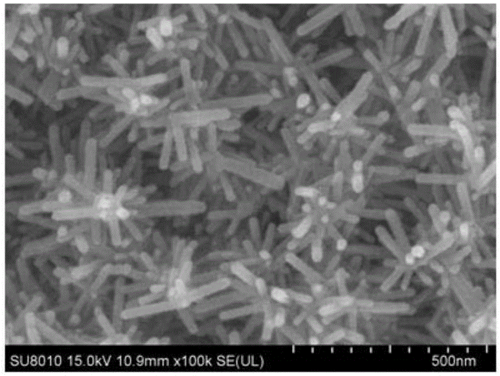 3D branch semiconductor nano heterojunction photoelectrode material and preparing method thereof