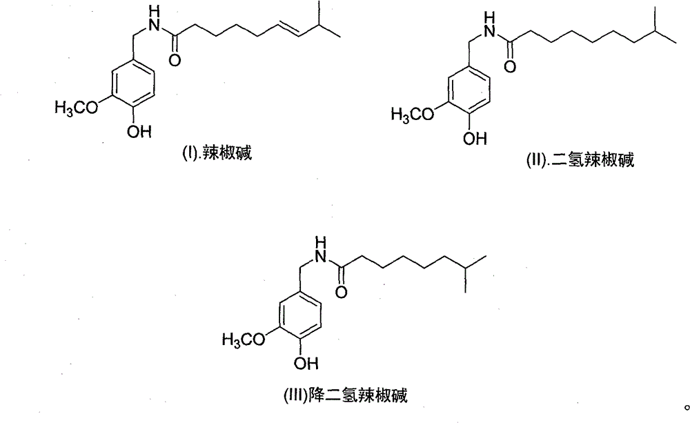 Artificial synthesis method of capsaicin homologue