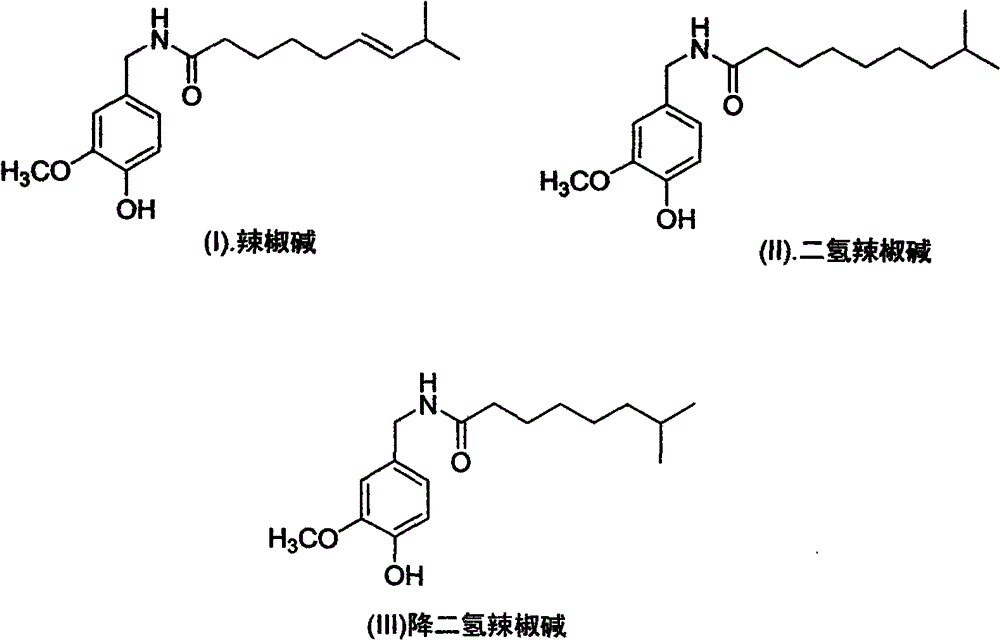 Artificial synthesis method of capsaicin homologue