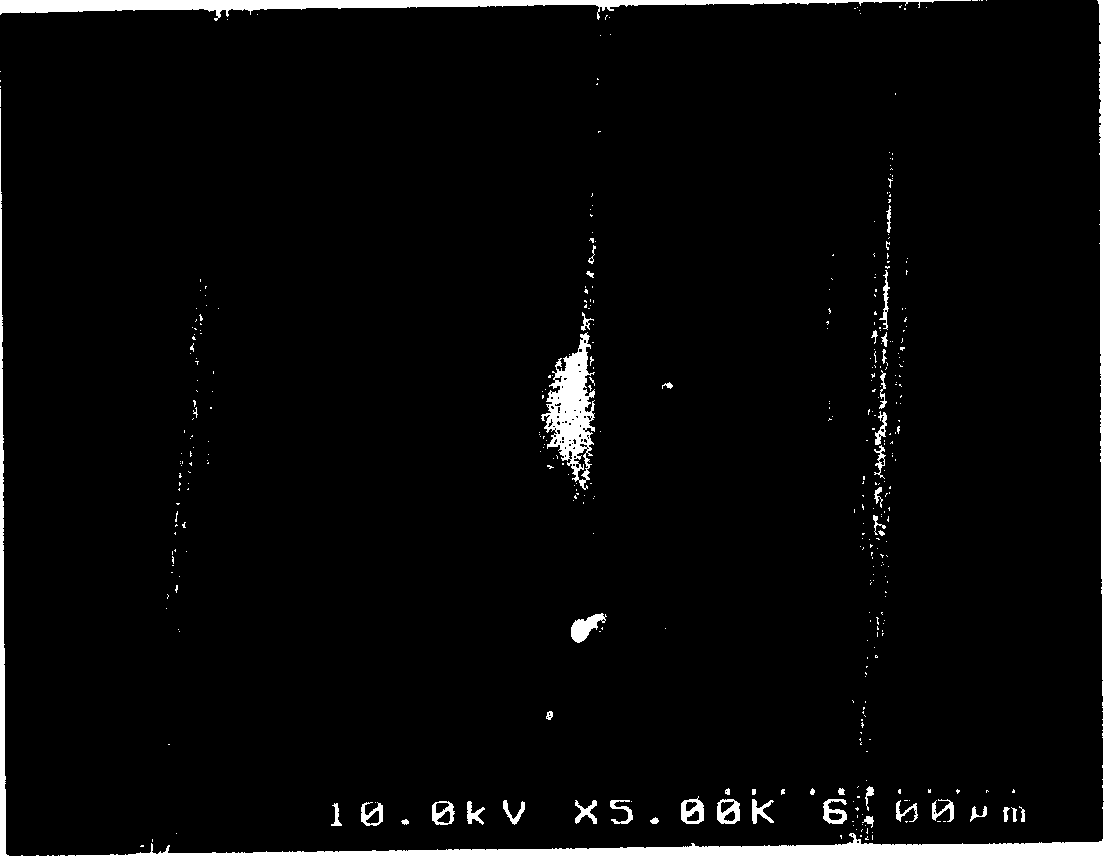 Conductive carbon fibre slice and solid polymer electrolytic fuel cell