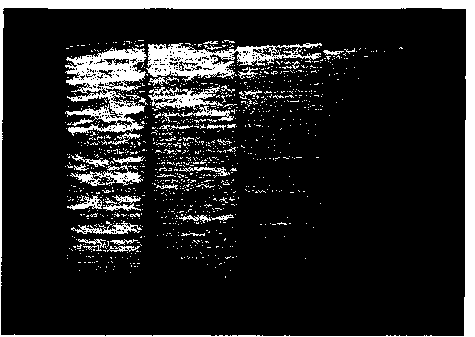 Method and device for the layered production of a three-dimensional object from a powdery material