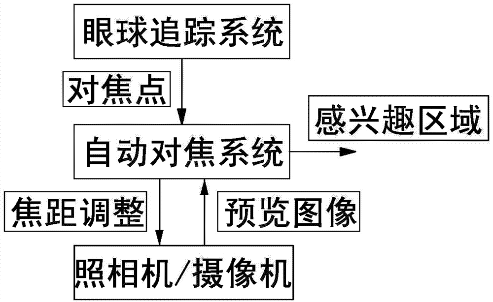 Image interest area extraction method based on eyeball tracking and automatic focus system