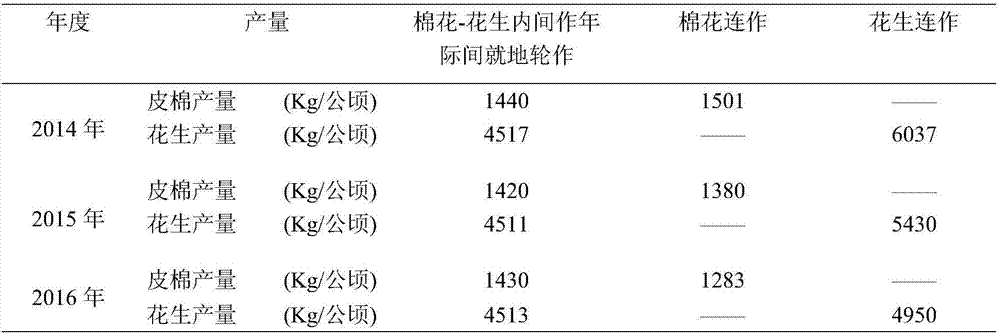 High-yield cultivation method adopting cotton-peanut intercropping in year and inter-annual local crop rotation