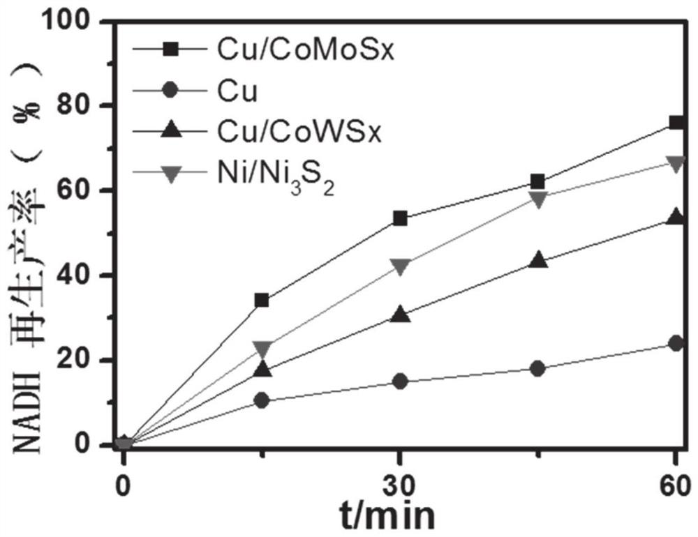 Reduced coenzyme and analogue regeneration catalyst as well as preparation method and application thereof