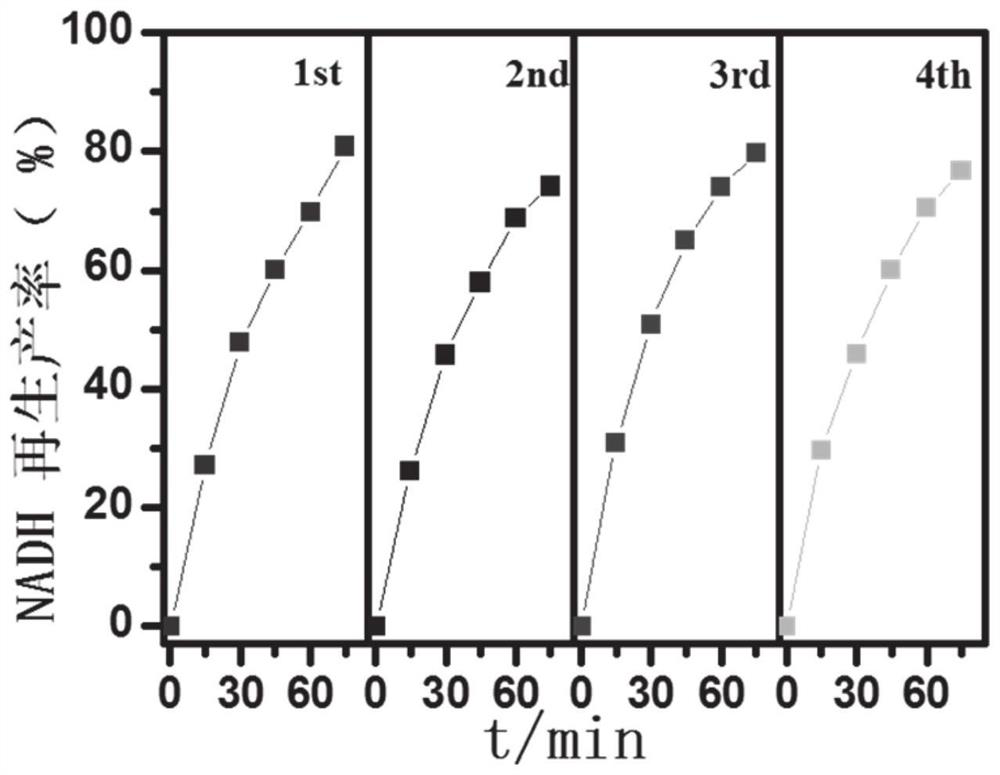 Reduced coenzyme and analogue regeneration catalyst as well as preparation method and application thereof