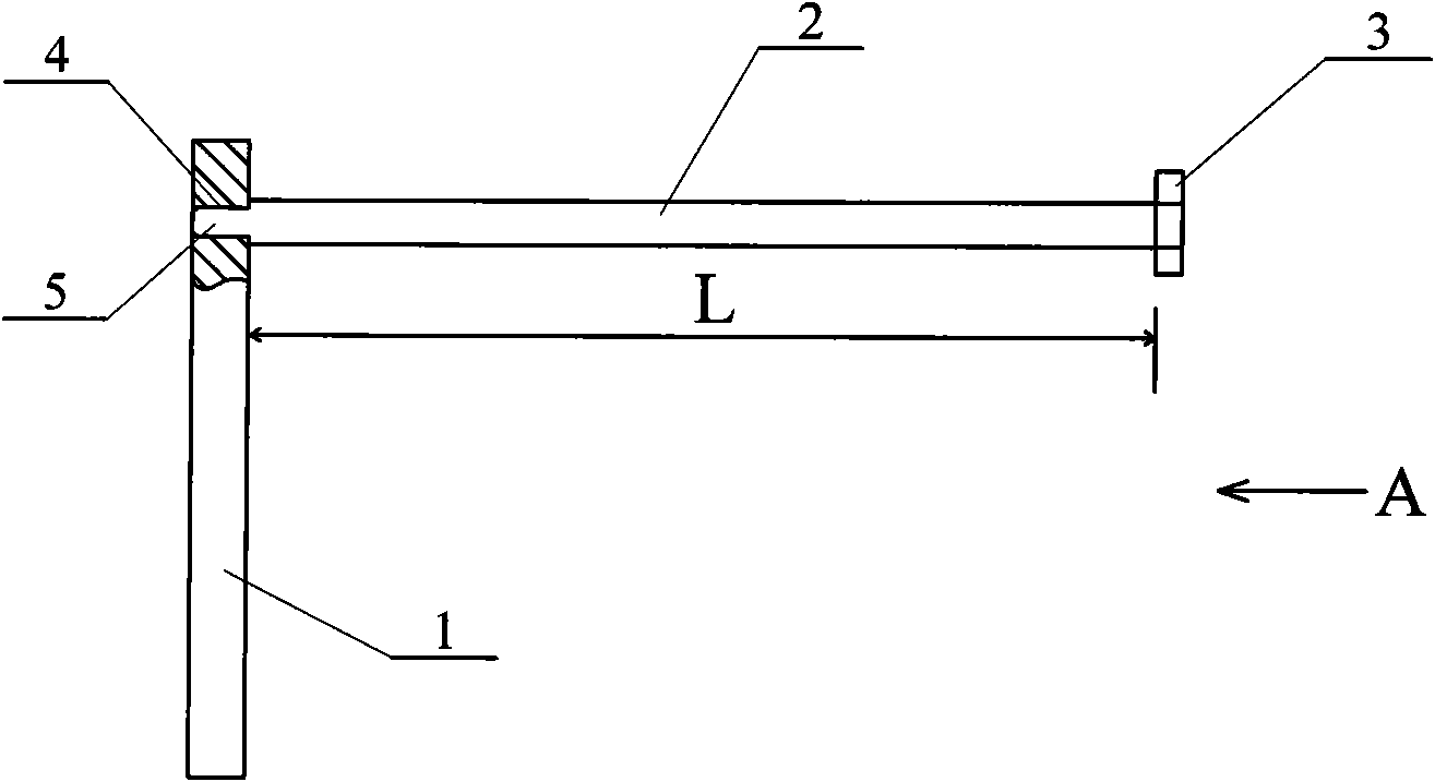 Near vision chart with fixed distance positioning rod