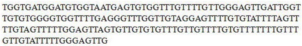 SFRP1 gene promoter methylation detection primers and detection method thereof