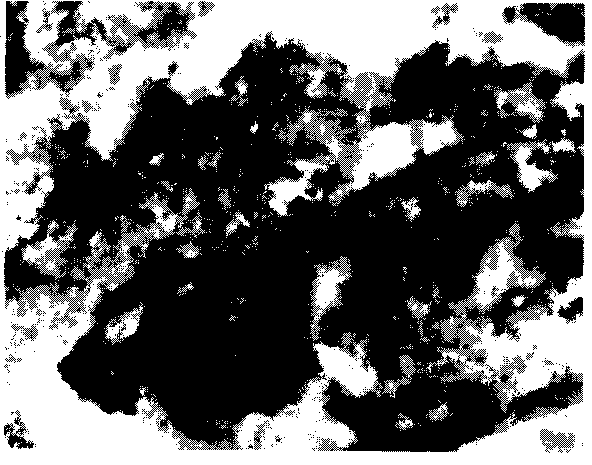 Large brill rhabdo virus toxic strain and its preparation method and application