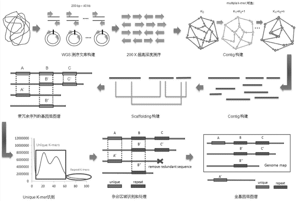 Heterozygous genome processing method