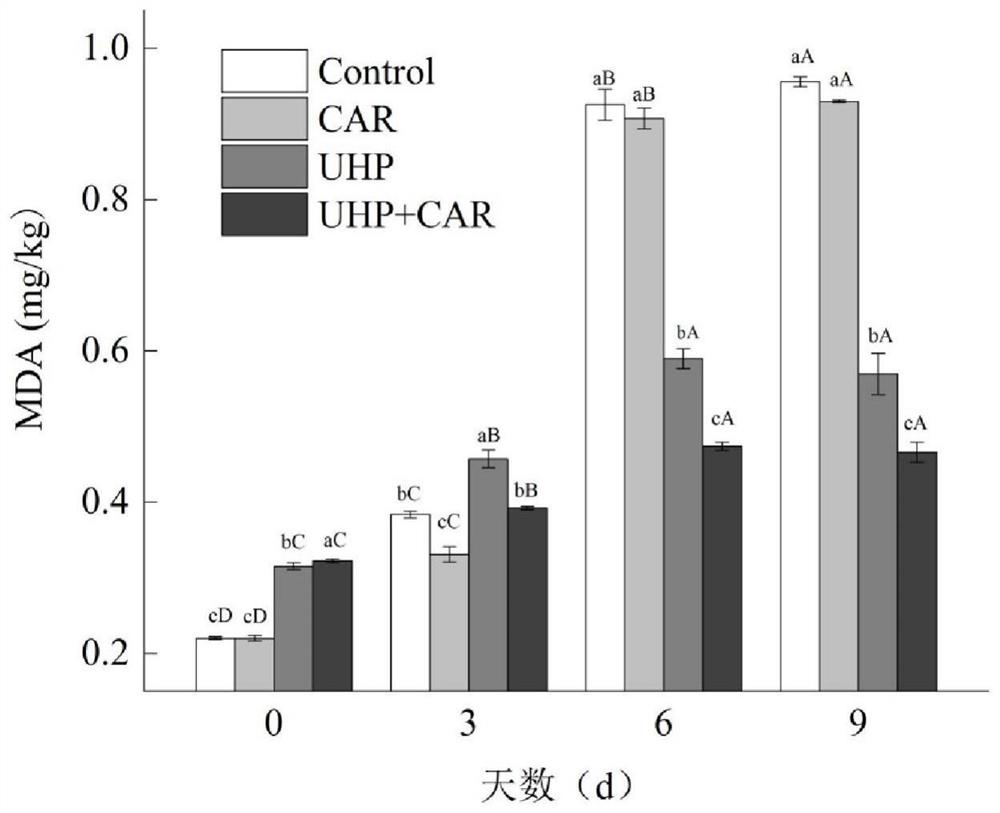 Special combined treatment method for improving long-term refrigeration quality of snakehead meat