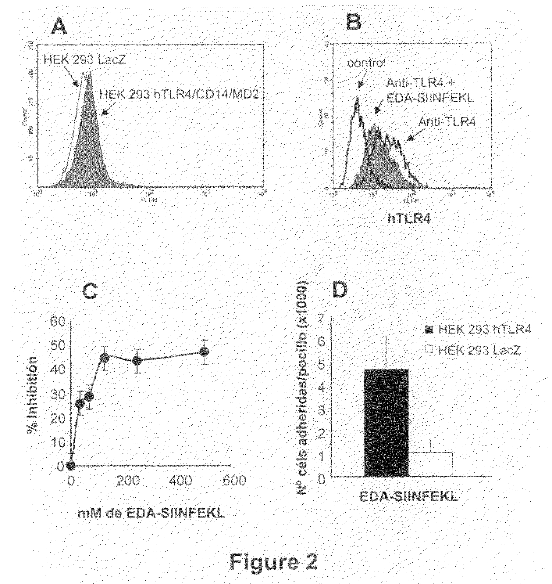 Agents and methods based on the use of the EDA domain of fibronectin