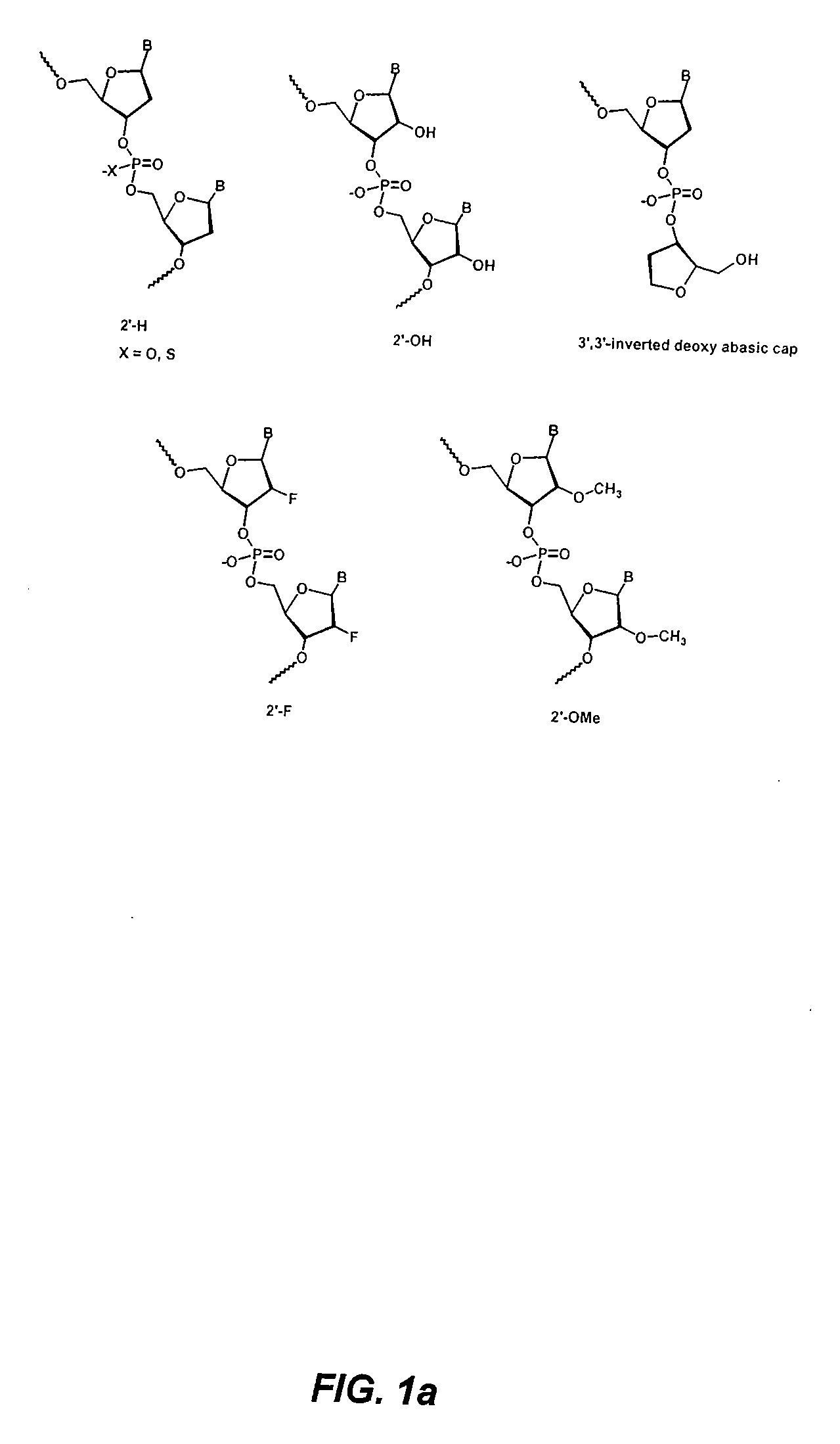 MODIFIED siRNA MOLECULES AND USES THEREOF