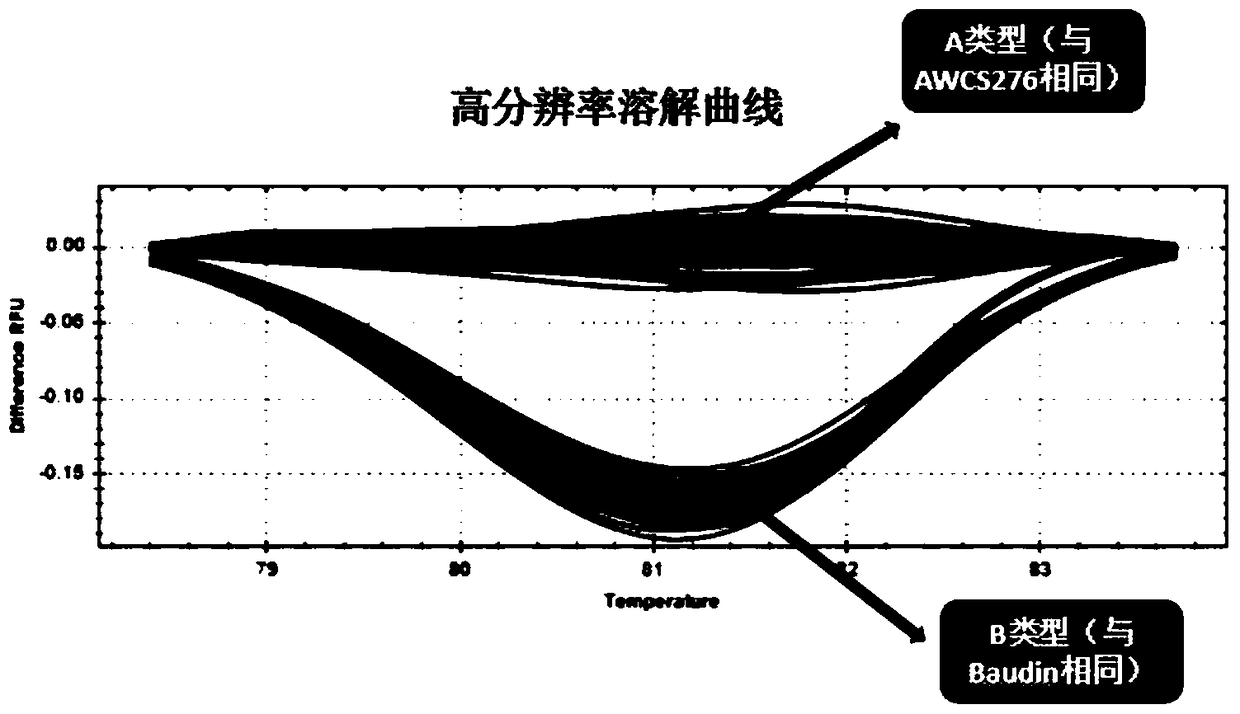 A Molecular Marker hrm7 of Barley Kernel Length Gene lkl2 and Its Application