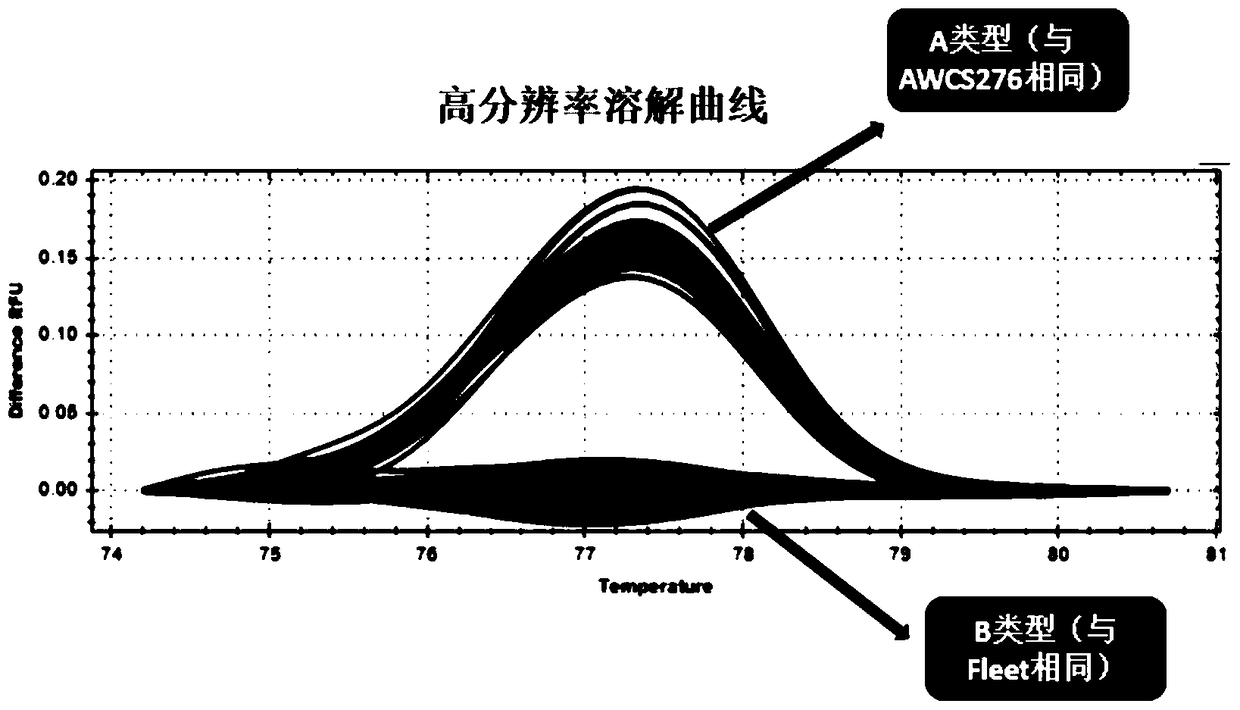 A Molecular Marker hrm7 of Barley Kernel Length Gene lkl2 and Its Application