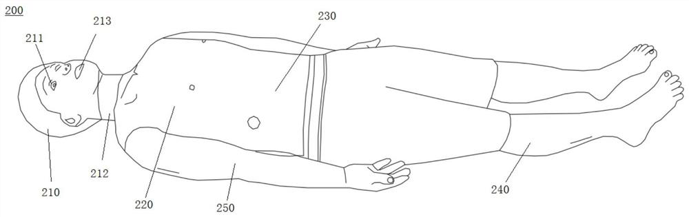 Electronic standardized patient simulation system for physical examination training and examination