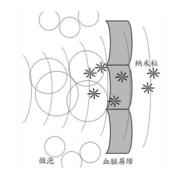 Brain delivery method for nano-medicament carrier