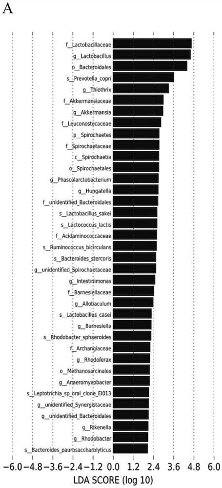 Synbiotics and feed for improving intestinal health and body immunity of turbots