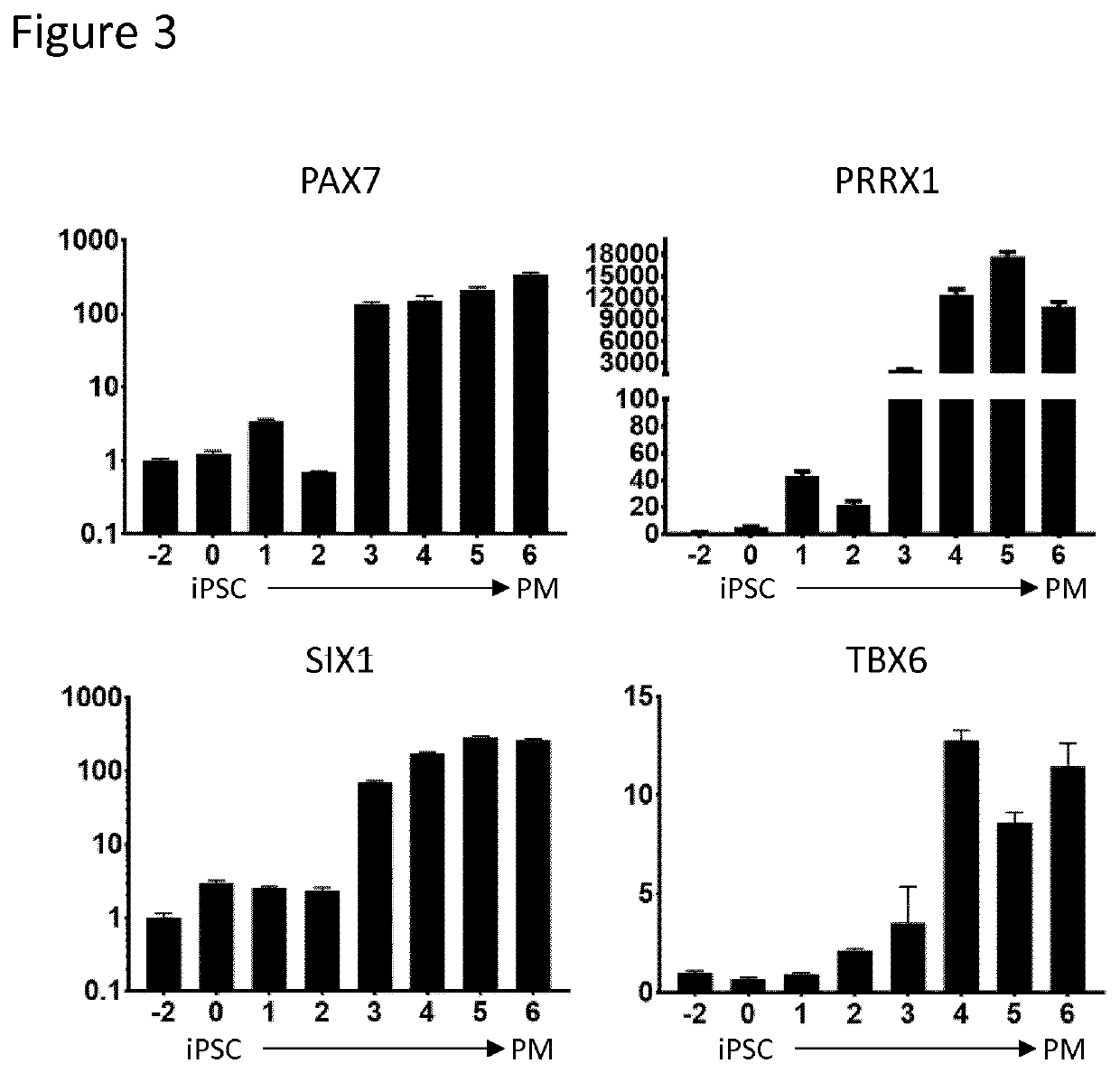 Production of brown adipocytes