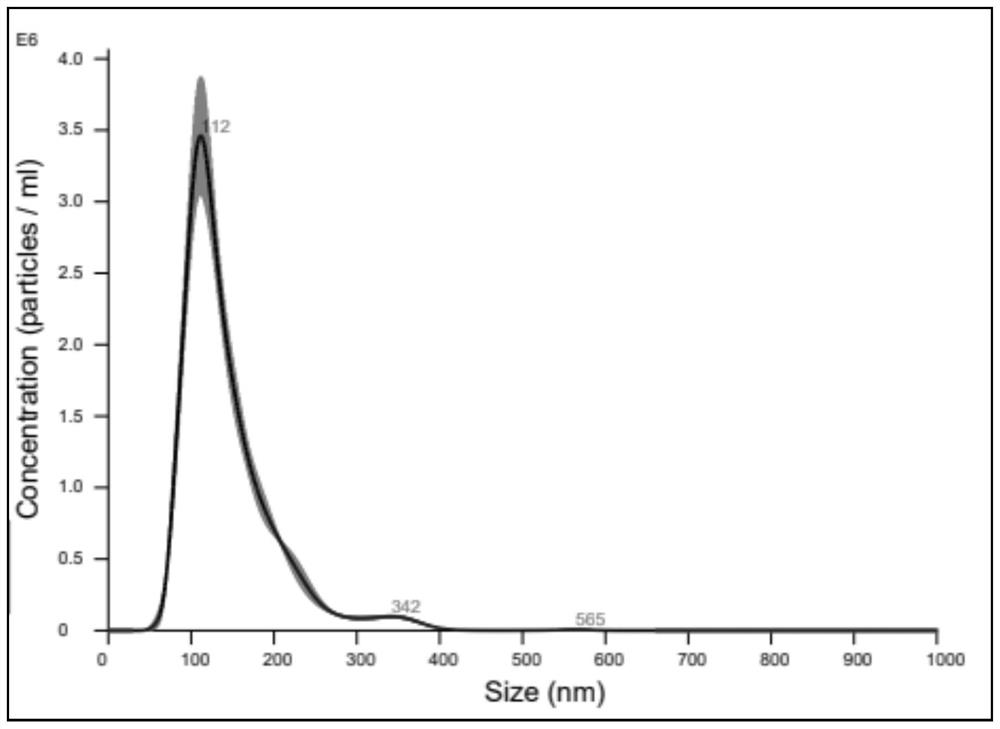 Exosome detection method