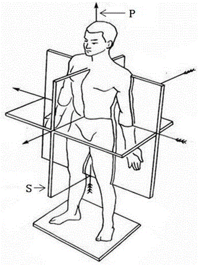 Gait rehabilitation robot and method for controlling gait rehabilitation robot