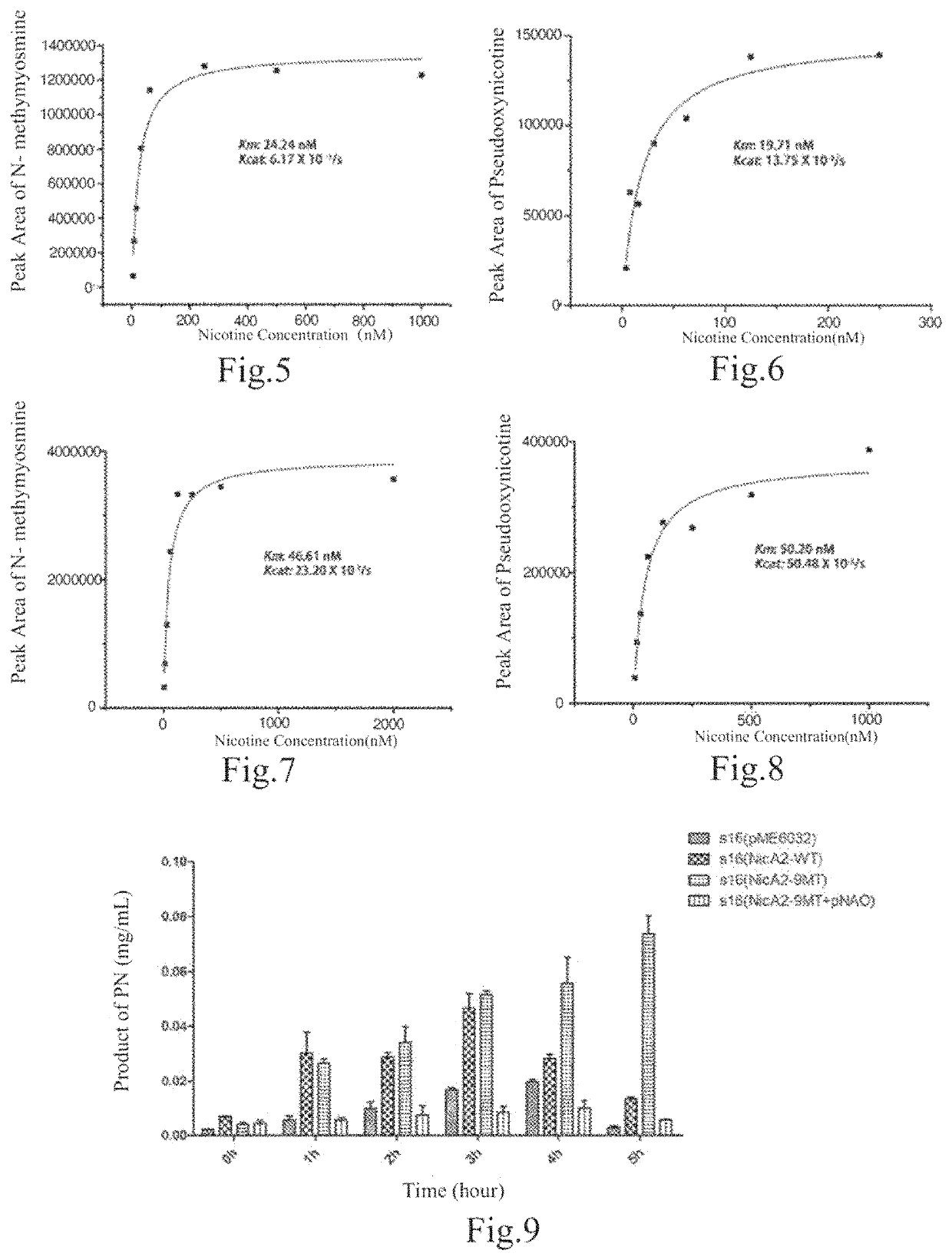 Enzyme and application thereof