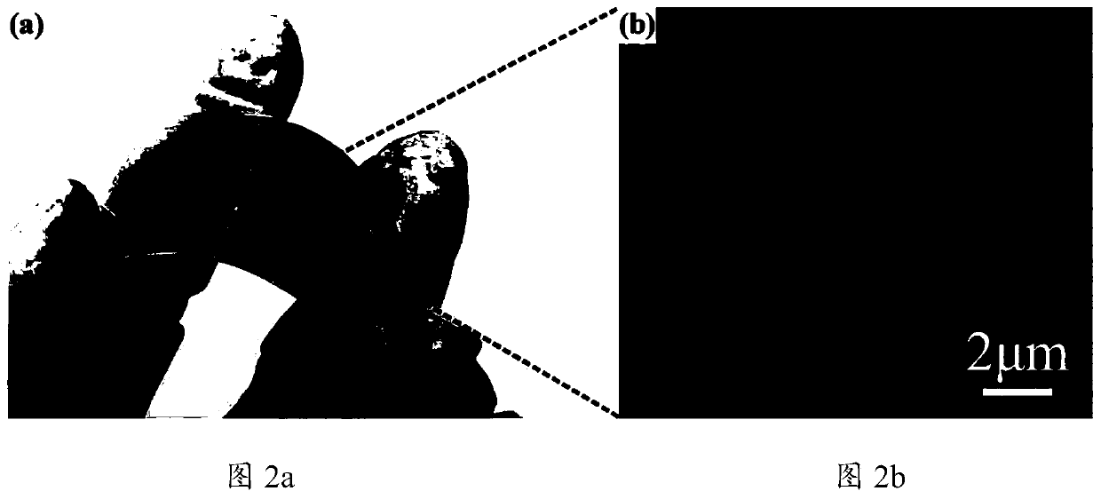 Flexible label-free nano bulge metasurface structure and manufacturing and sensing methods thereof