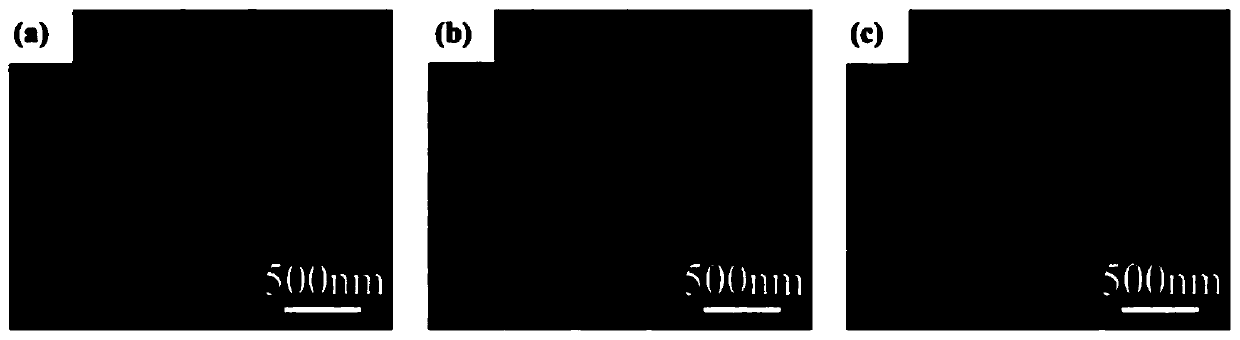 Flexible label-free nano bulge metasurface structure and manufacturing and sensing methods thereof