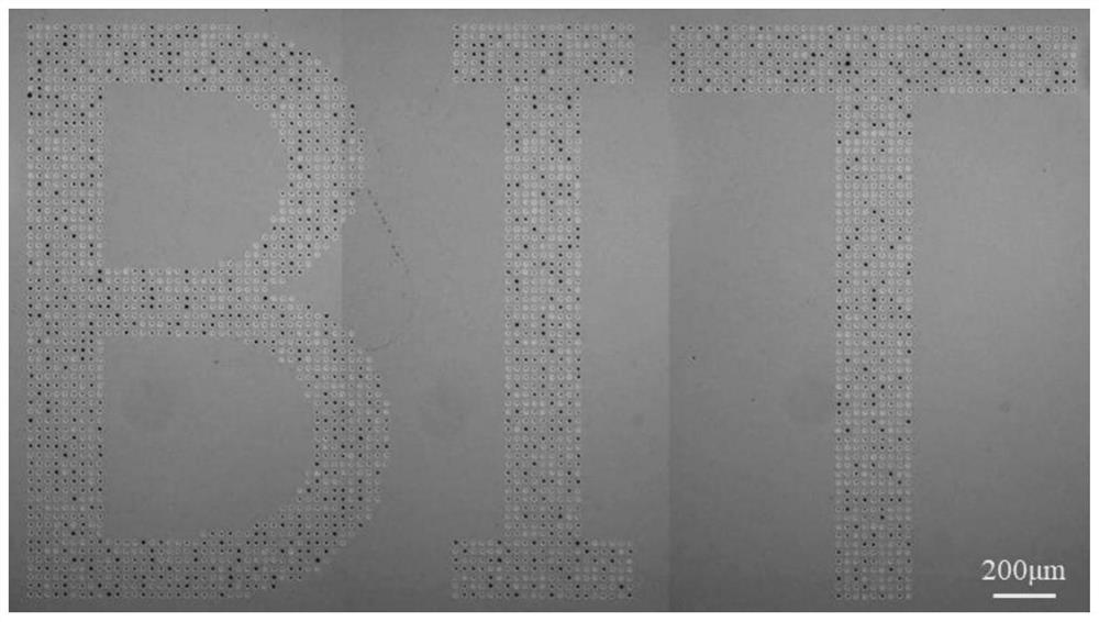 A method for preparing submicron concentric rings on silicon surface by femtosecond laser