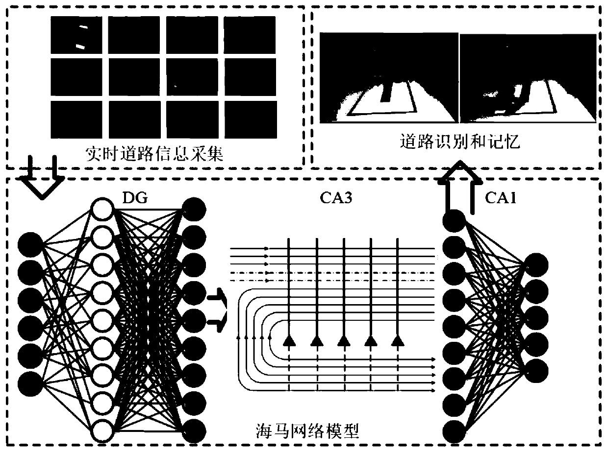 Intelligent robot control method, system and device based on biological neural network