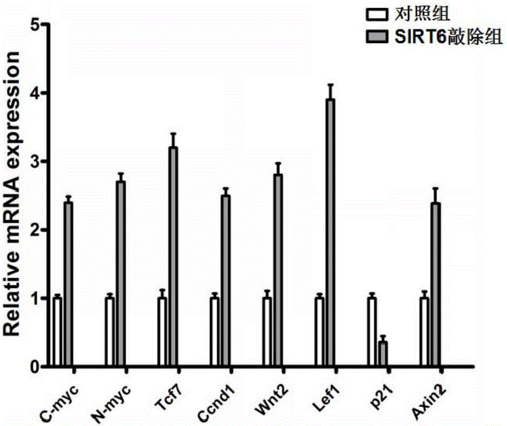 Application of Wnt inhibitor in preparation of medicines for treating hematopoietic aregenerative diseases