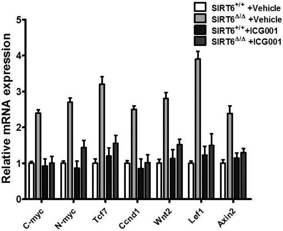 Application of Wnt inhibitor in preparation of medicines for treating hematopoietic aregenerative diseases