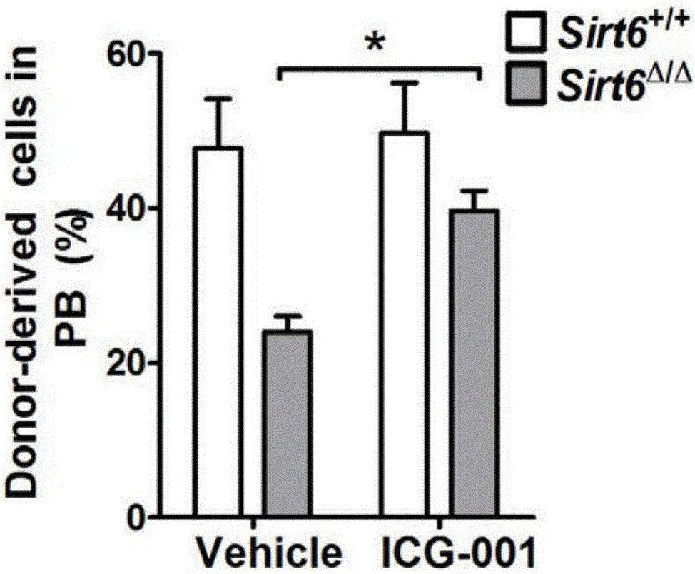 Application of Wnt inhibitor in preparation of medicines for treating hematopoietic aregenerative diseases