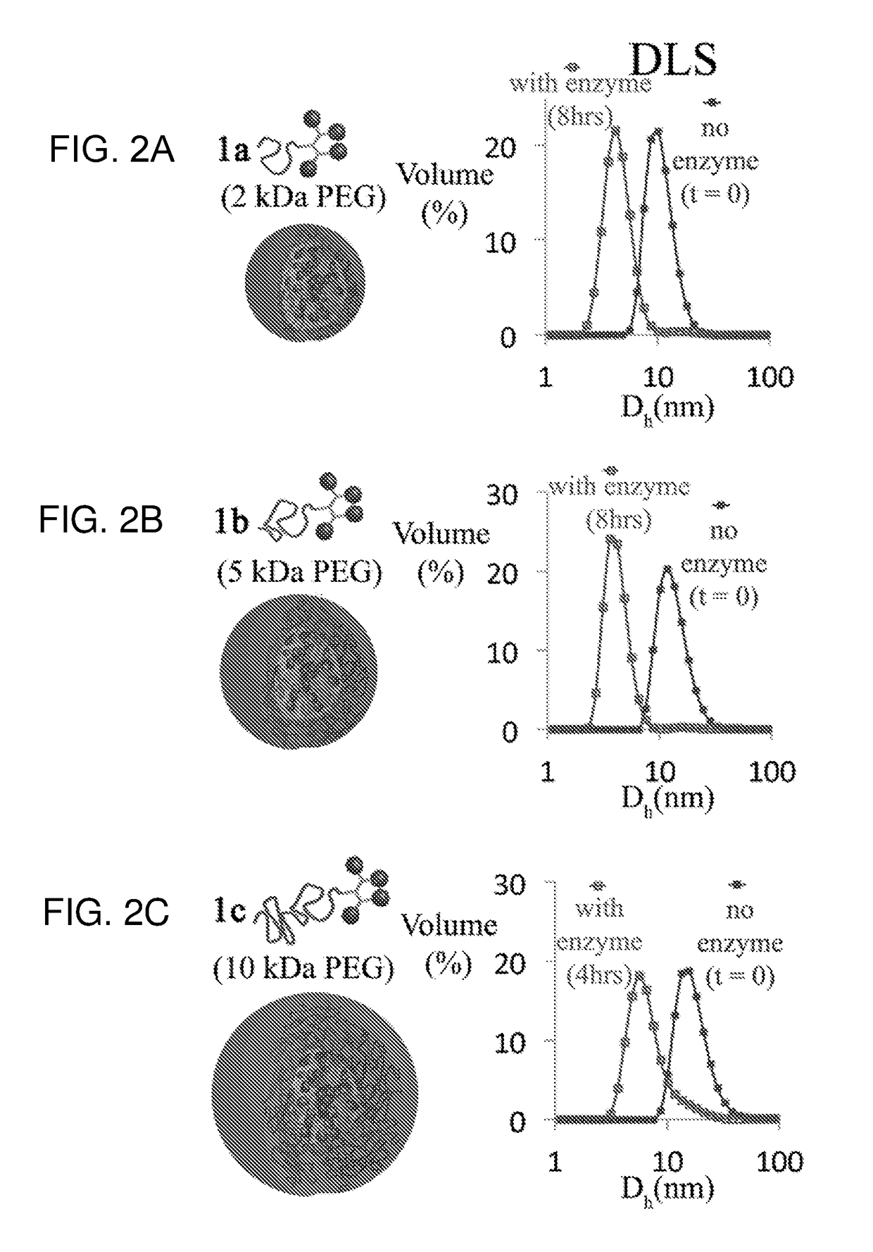 Micelar delivery system based on enzyme-responsive amphiphilic peg-dendron hybrid